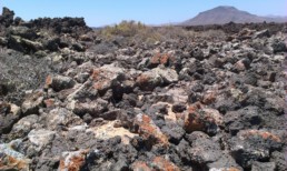 El Paisaje Protegido del Malpaís Grande-fuerteventura
