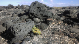 volcanic-rocks-la-bocaina